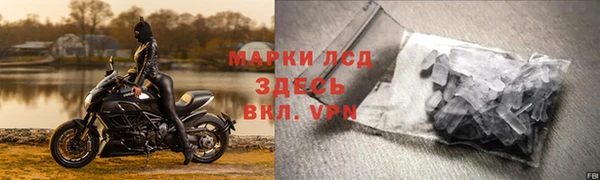 прущая мука Вяземский