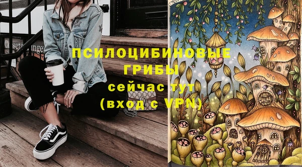 apvp Вязьма