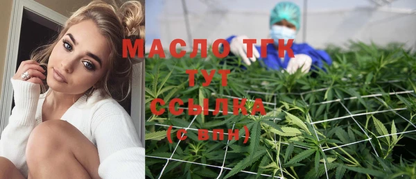прущая мука Вяземский