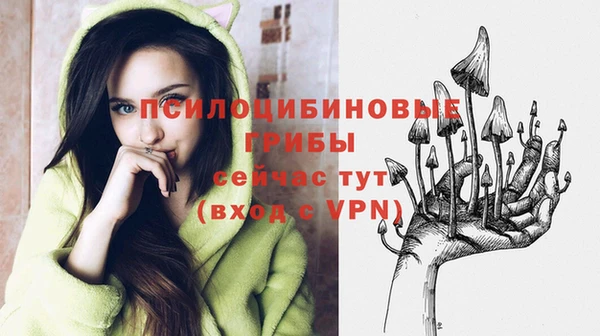 прущая мука Вяземский