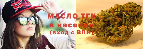 прущая мука Вяземский