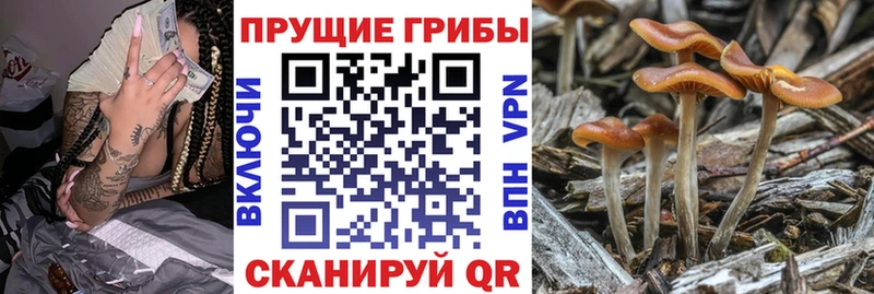 Псилоцибиновые грибы GOLDEN TEACHER  Купить где  Белоярский 